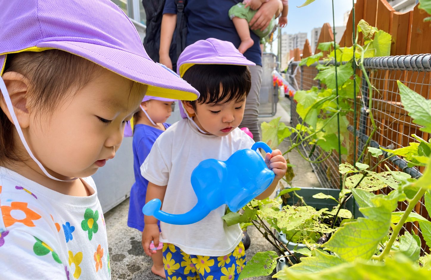 園庭で植物を観察する子どもたち